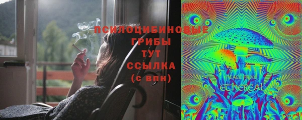 гидра Балабаново